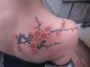 cherry blossom right shoulder blade